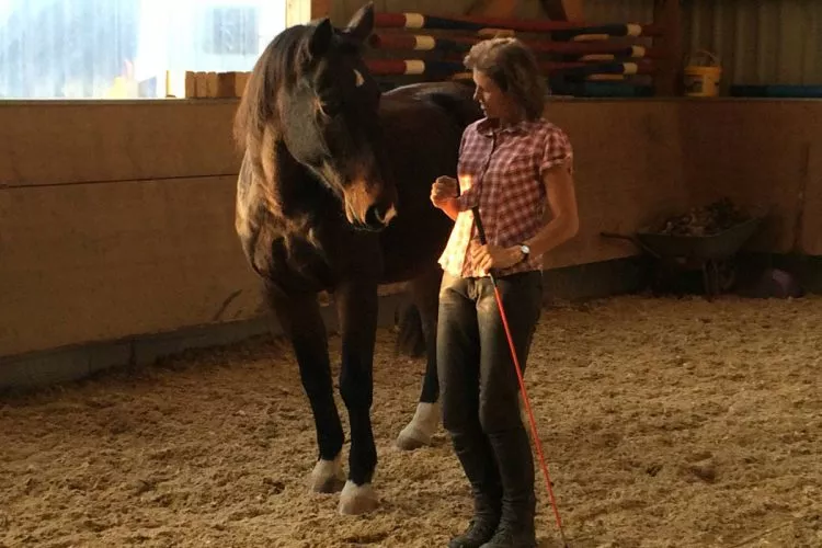 Horsemanship ist ein Menschen-Trainings-Programm, das den Charakter formt und die Persönlichkeit stärkt und weiterentwickelt – und zwar weit über den Umgang mit dem Pferd hinaus! Horsemanship ist ein Menschen-Trainings-Programm, das den Charakter formt und die Persönlichkeit stärkt und weiterentwickelt – und zwar weit über den Umgang mit dem Pferd hinaus!