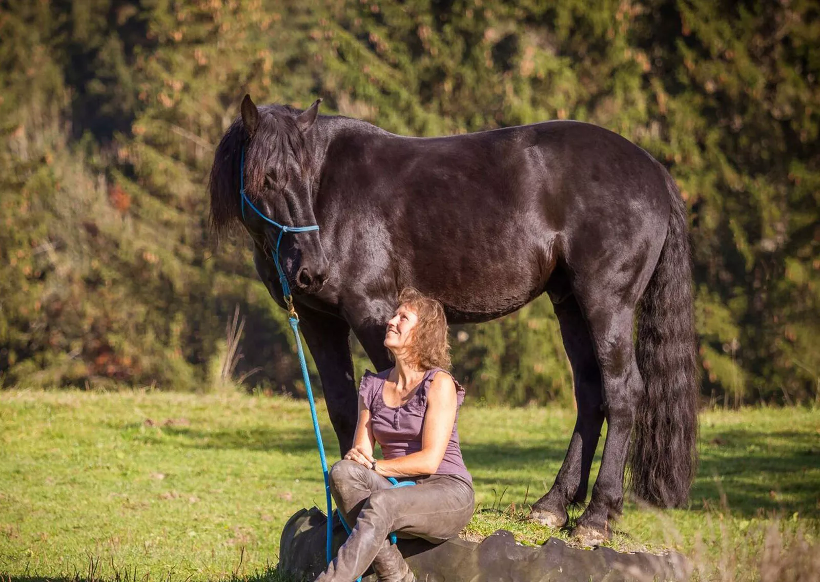 Vertrauensvolle Verbindung zwischen Mensch und Pferd in der Natur